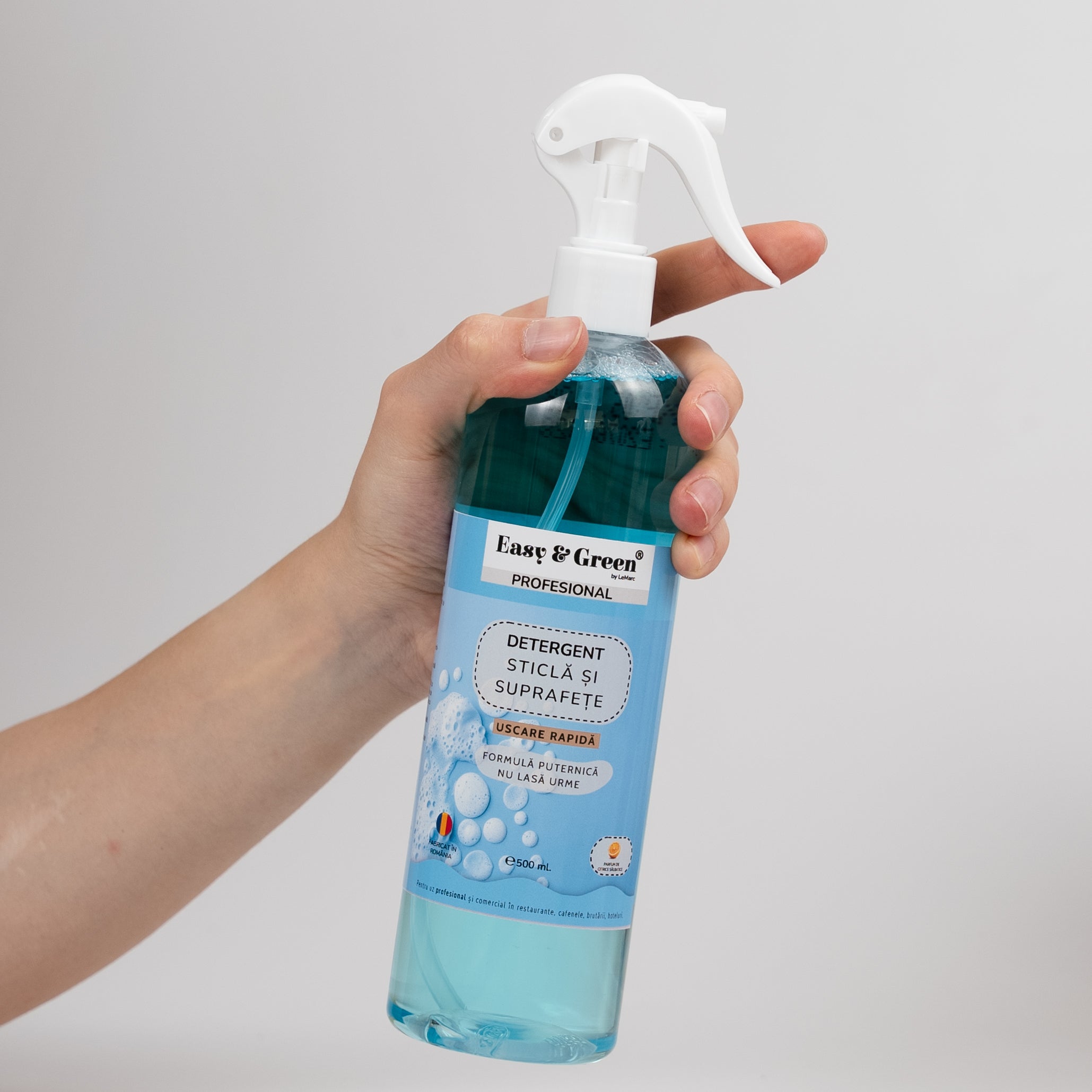 Detergent sticla si suprafete PROFESIONAL